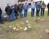 D Wolnzach 17.3.2013 - 