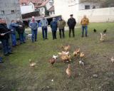 D Wolnzach 17.3.2013 - 