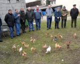 D Wolnzach 17.3.2013 - 