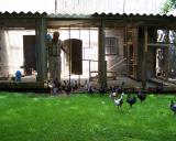 A Seifert 3.7.2011 - 