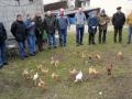 D Wolnzach 17.3.2013