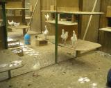 D Becker Mathias 3.10.2011 - 