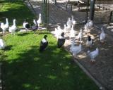 D Becker Mathias 3.10.2011 - 