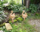D Eiba 2.9.2012 - 