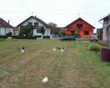 HR Hozlinger Božo 23.7.2011 - 