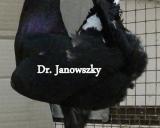 HU Janowszky Šándor Dr. 18.12.2011 - 